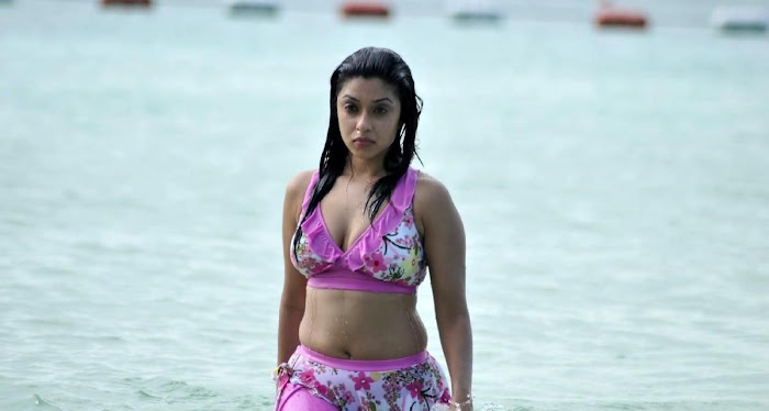 spicy tollywood payal hosh from movie mr.rascal unseen pics